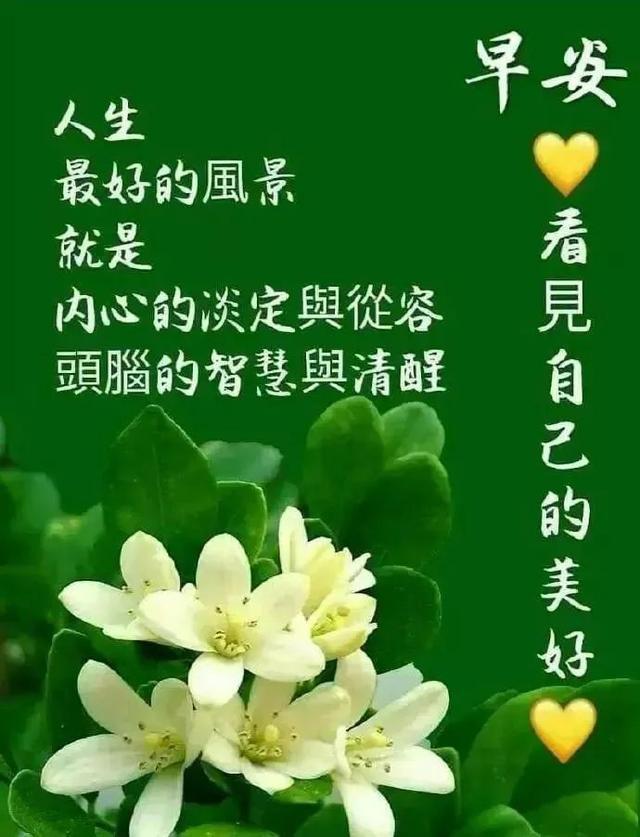 清晨早安问候语短信 温暖早上好问候关心祝福语句