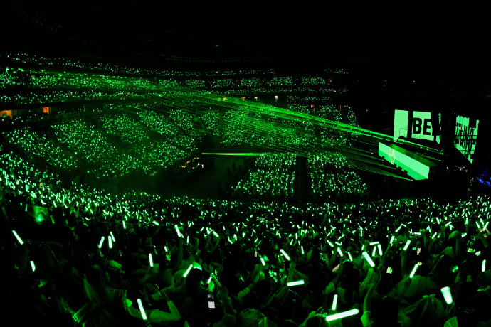 王源演唱会上的绿海