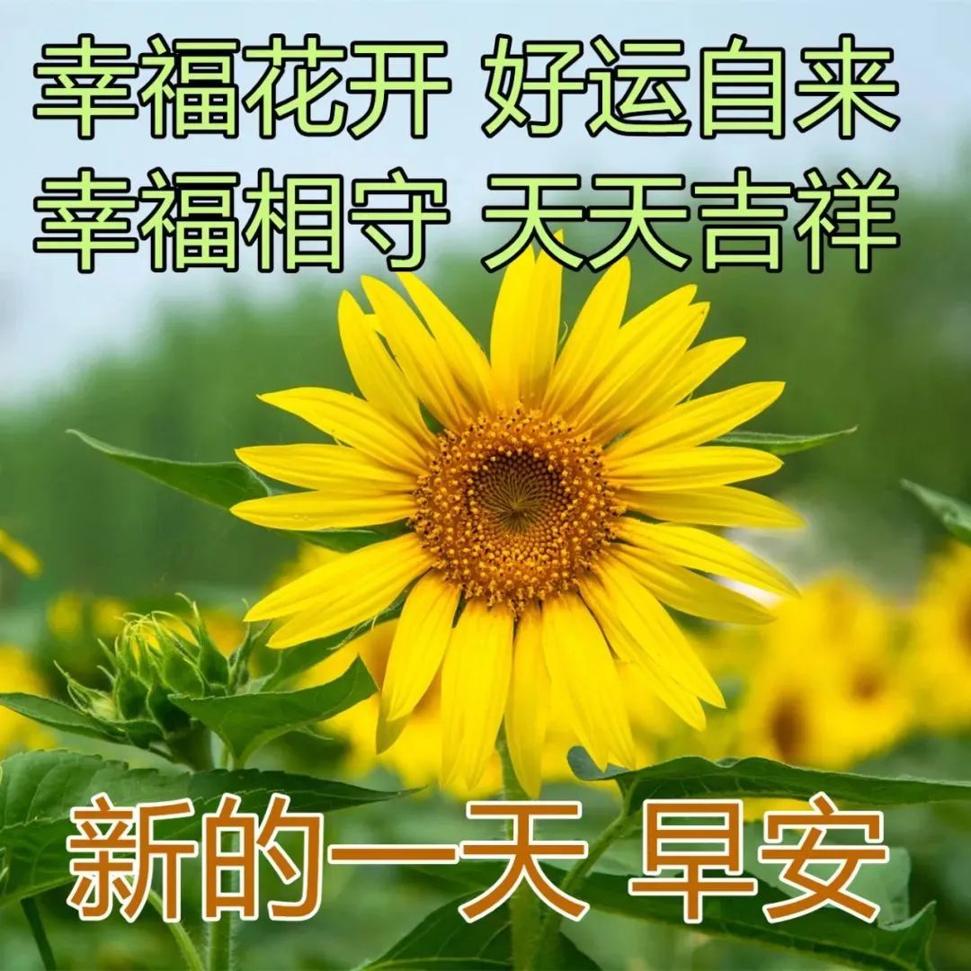2023年早上好最新图片 早上问候语大全早安问候祝福语