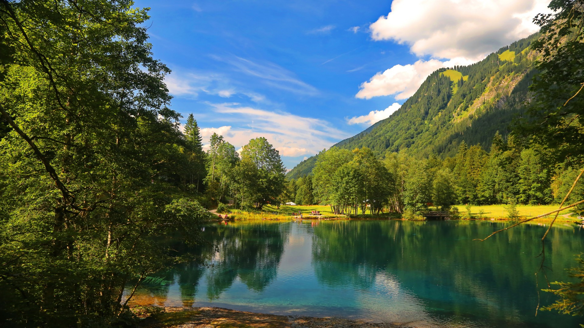 小清新绿色风景养眼桌面壁纸图片大全下载