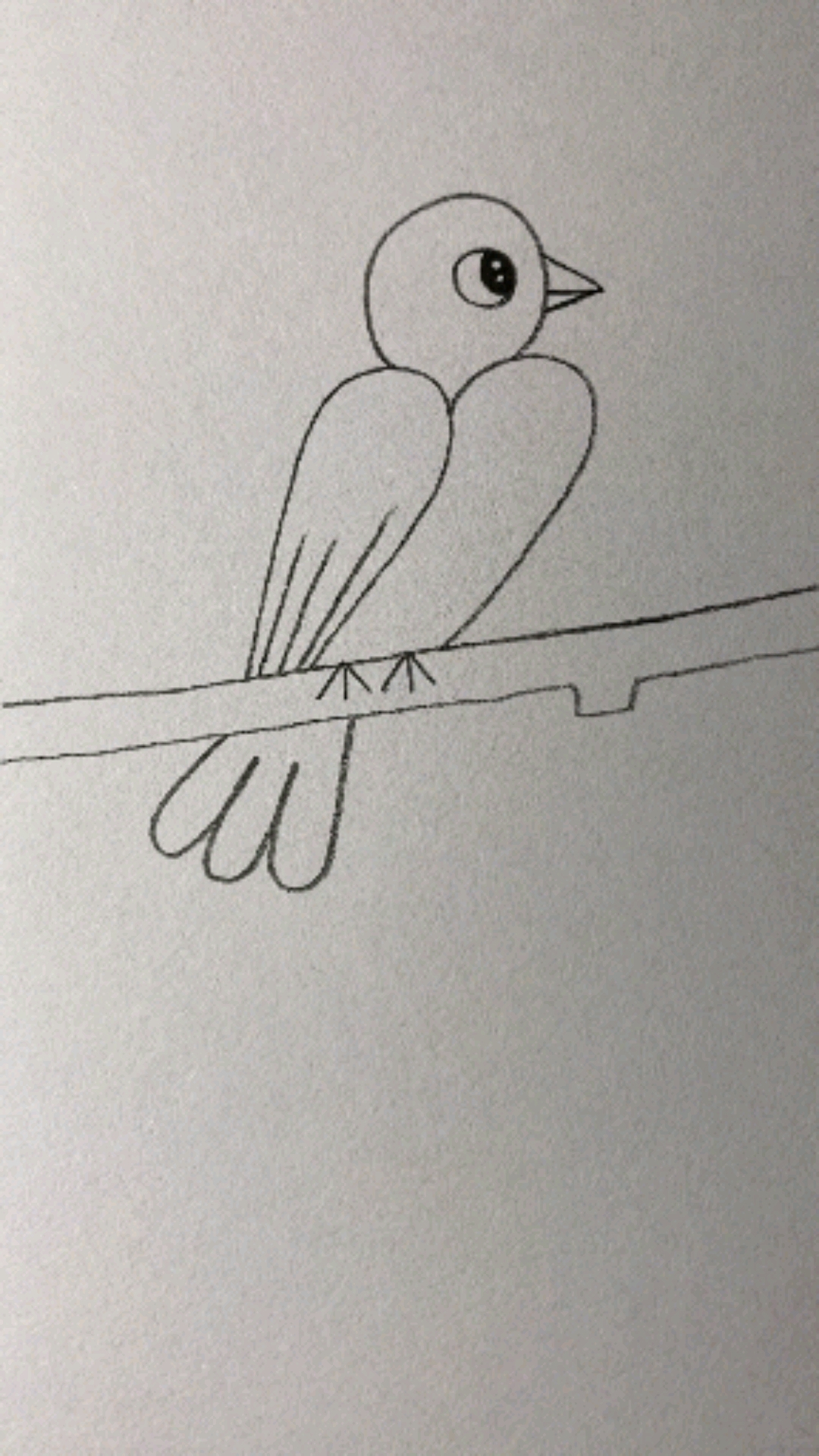 用22画聪明的小鸟