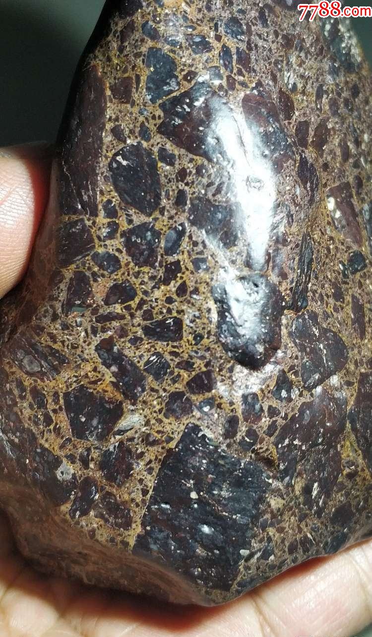 4218新疆哈密棕色大晶格花伊丁陨石陨铁507克