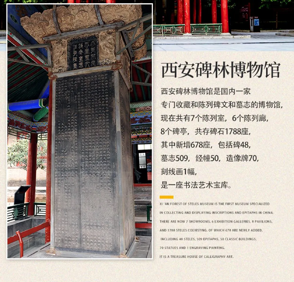 西安碑林博物馆门票120分钟深度人工讲解10人团9点3014点双场次