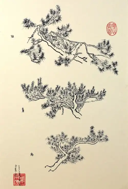 新书《钢笔白描写生岭南松树一百图谱》