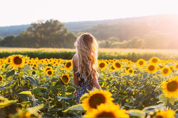向日葵花海美女背影4k图片唯美的女孩背影摄影图片臀部,胸部,衣服