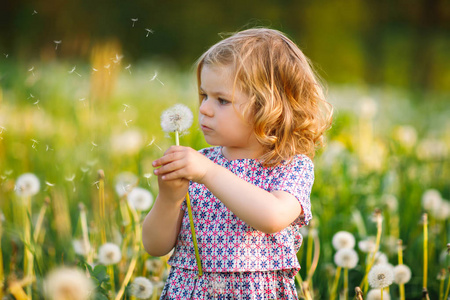 夏天,可爱可爱的小女孩吹着蒲公英花.