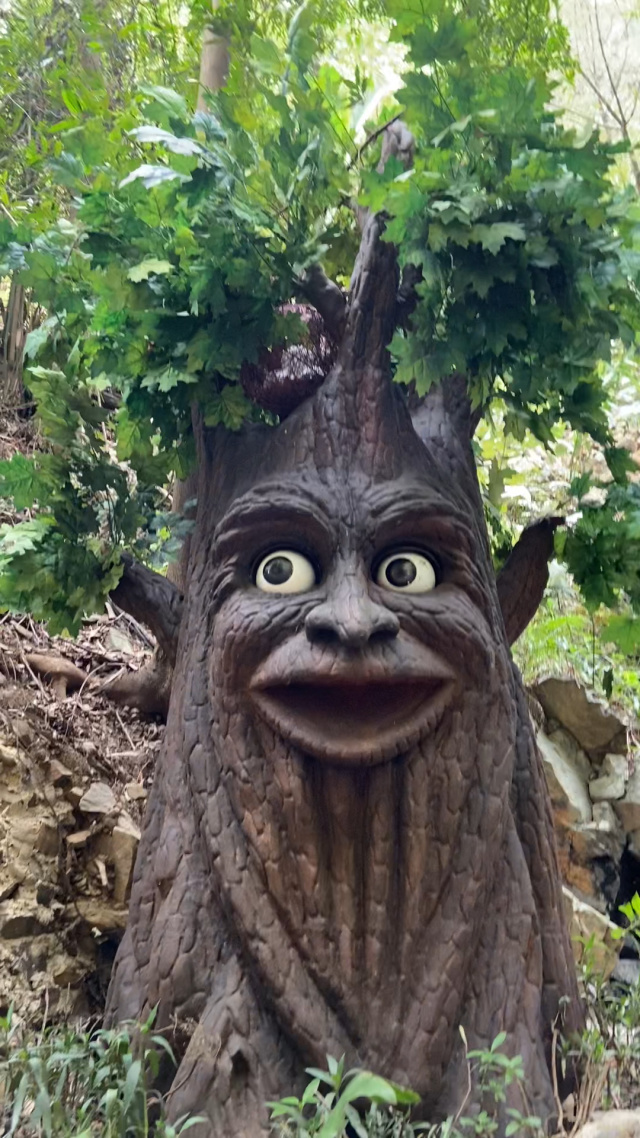 不一样的树怪90