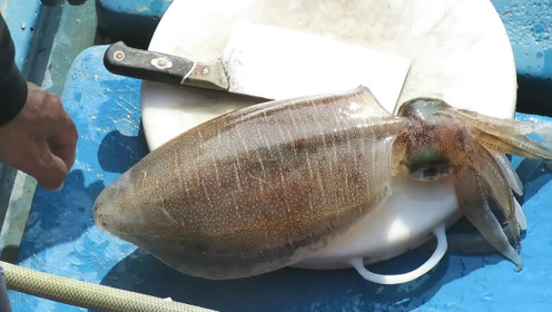 海鲜老板处理鲜活大墨鱼,晶莹透亮!