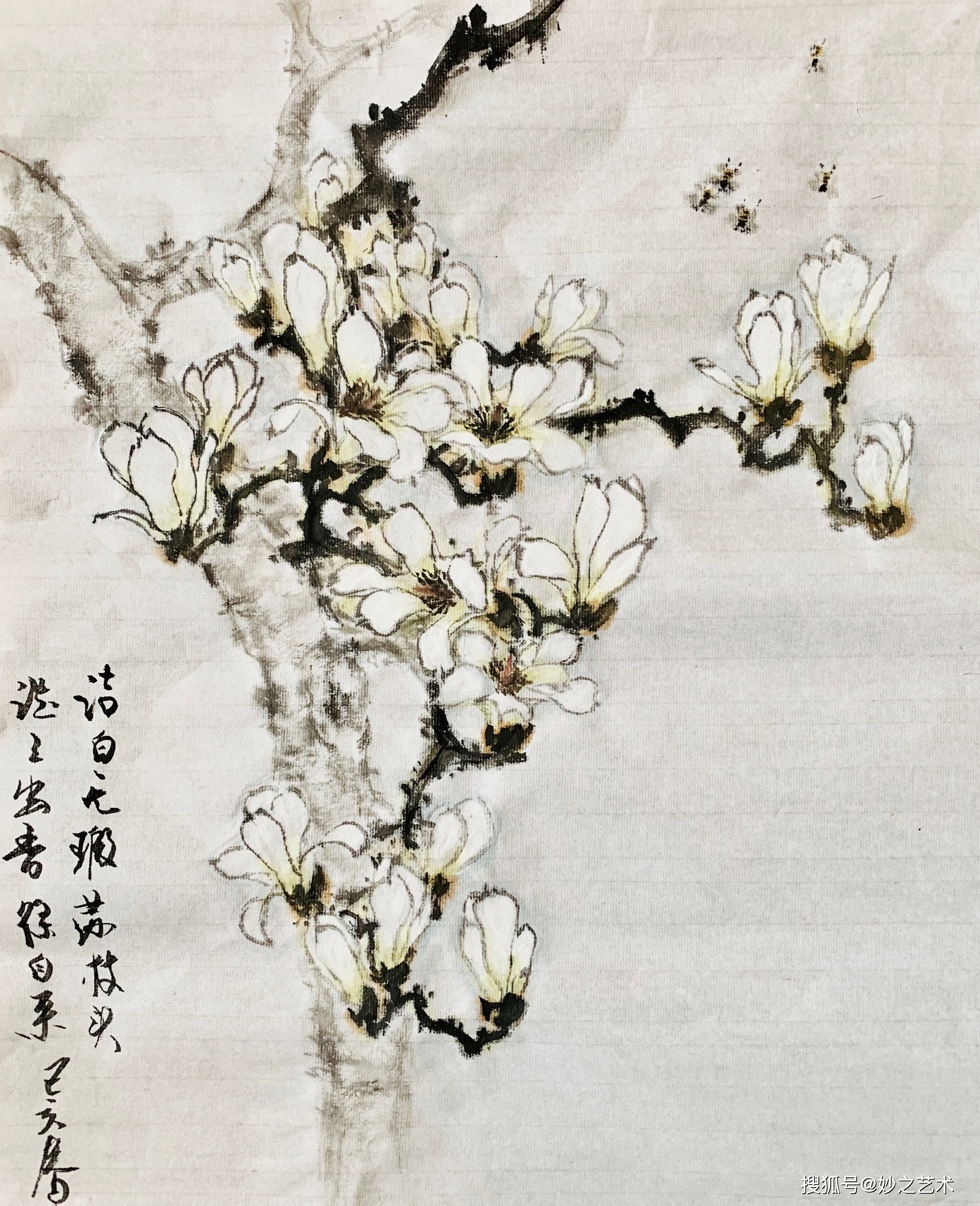 妙之写意国画玉兰