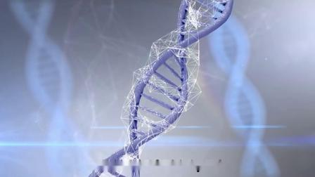 脐带间充质干细胞介绍