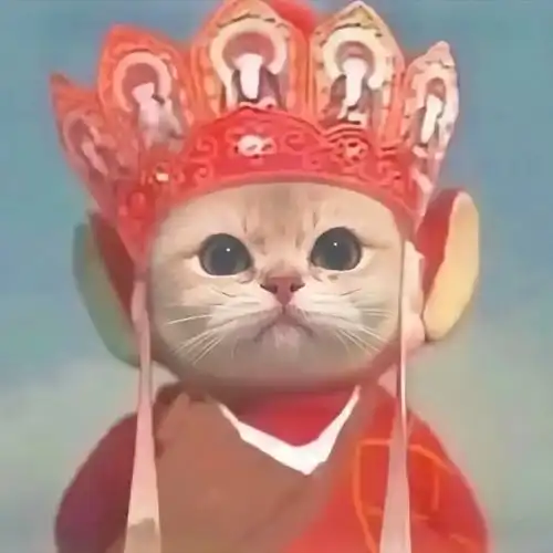 充满智慧的头像#搞怪头像 #沙雕头像 #优质头像 #小众头像 - 抖音