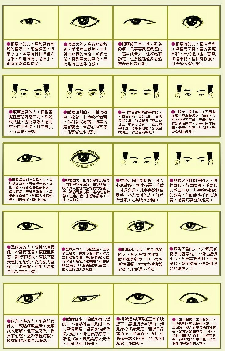 实用工具 > 眼型面相fu163眼型面相(flash动画)电脑