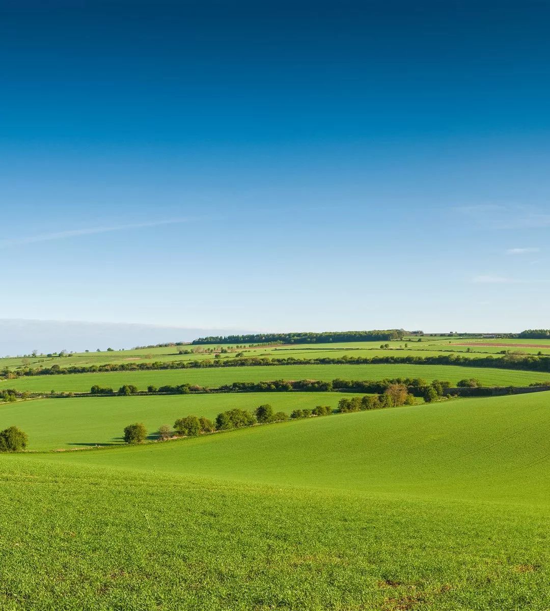 绿色背景图 养眼 微信 绿色背景图片 微信 养眼 - 网络编辑之家