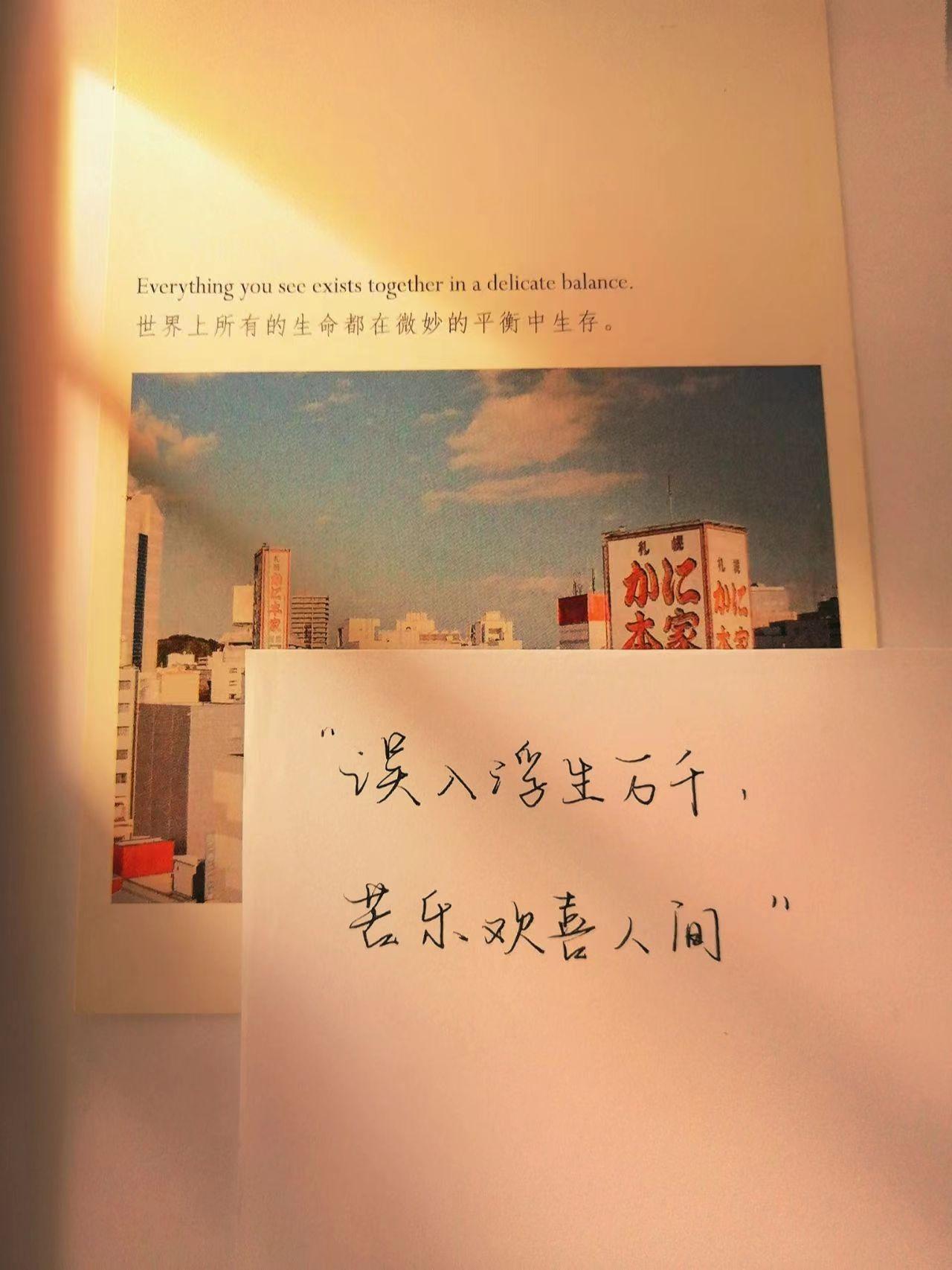 很小众的朋友圈高级感文案