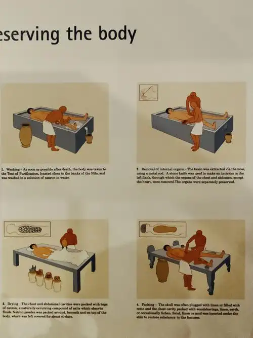 木乃伊制作过程分几步01