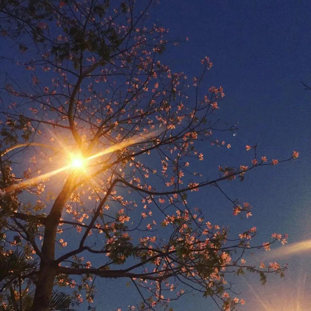 朋友圈简单干净背景图2020微信朋友圈背景图