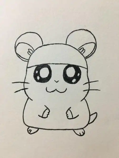 简笔画小仓鼠简笔画小仓鼠可爱呆萌