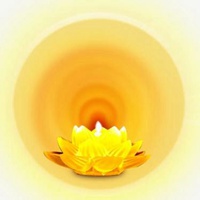 微信金色莲花头像大全寓意金光闪闪佛教莲花头像点击鼠标右键下载