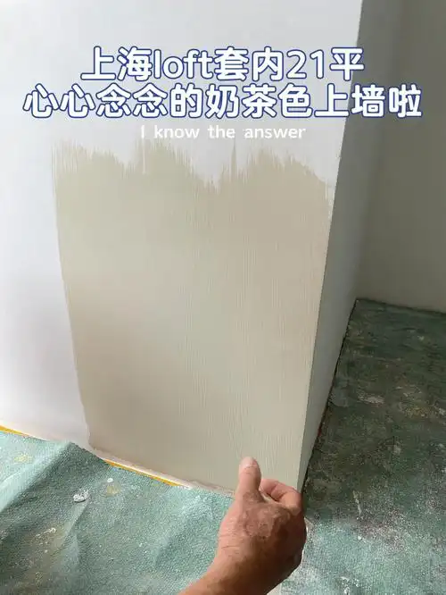 上海loft多乐士奶油乳胶漆奶茶色上墙试色
