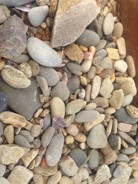 我们这的海边能捡到很多漂亮石头,如何利用这个创业呢?