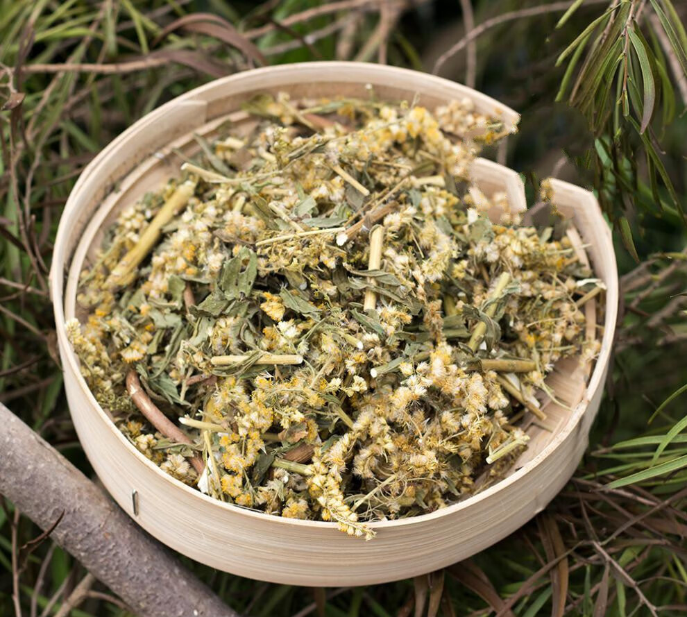 一枝黄花野生农家一支黄花新鲜采收草药老虎尿中药材干贵州