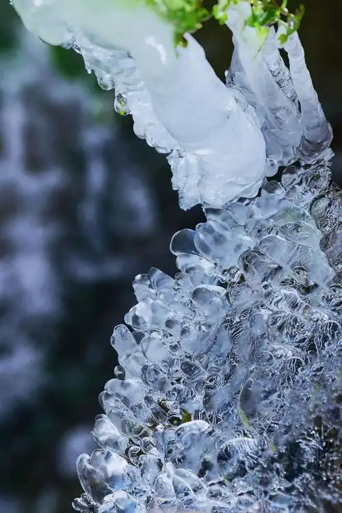 冰的世界有乾坤