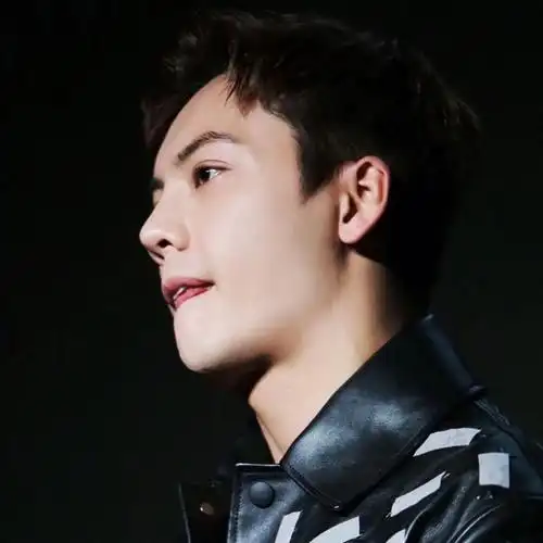 陈伟霆wechat头像williamchan