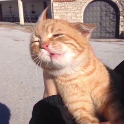 可爱小动物头像/夏风会把好_女生头像_我要个性网