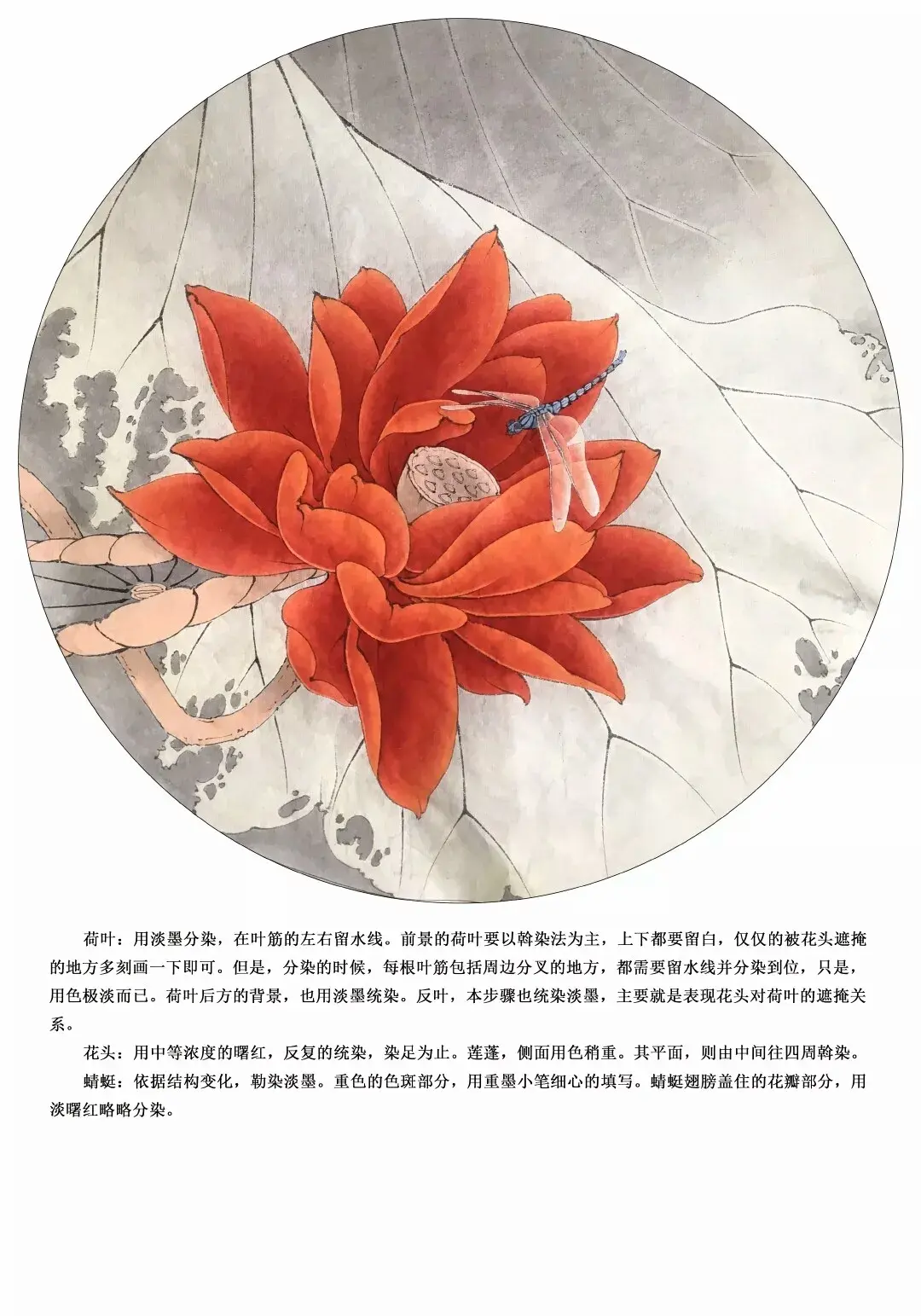 李晓明老师新作工笔荷花朱砂荷详细步骤