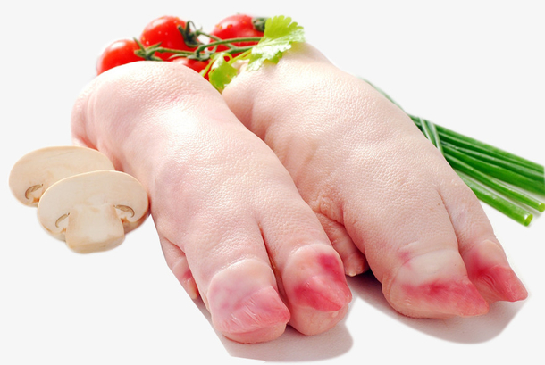 新鲜的猪蹄实物图