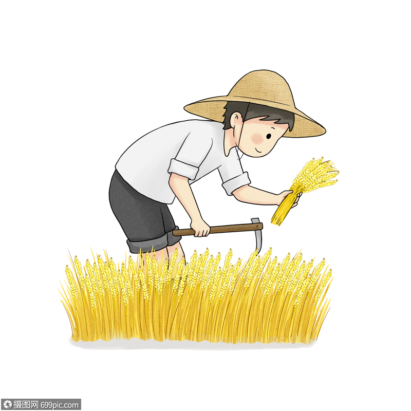 秋收麦田收割高清图片素材