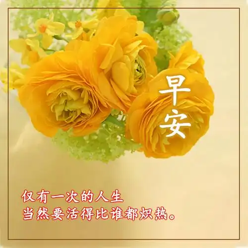 简短早安问候语精选,一句话早安心语!秋季早晨关心的问候语