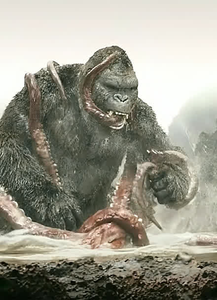 金刚骷髅岛,大金刚吧巨型八爪鱼当点心吃了!