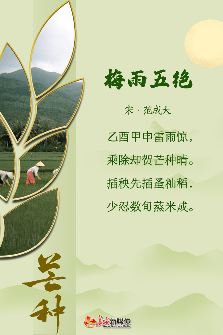 芒种61诗节风吹麦成浪蝉鸣夏始忙