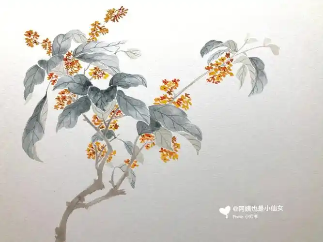 没骨画第四十一幅桂花