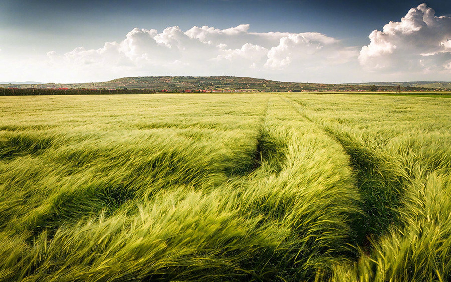 清新怡人自然风景1600x1200分辨率查看