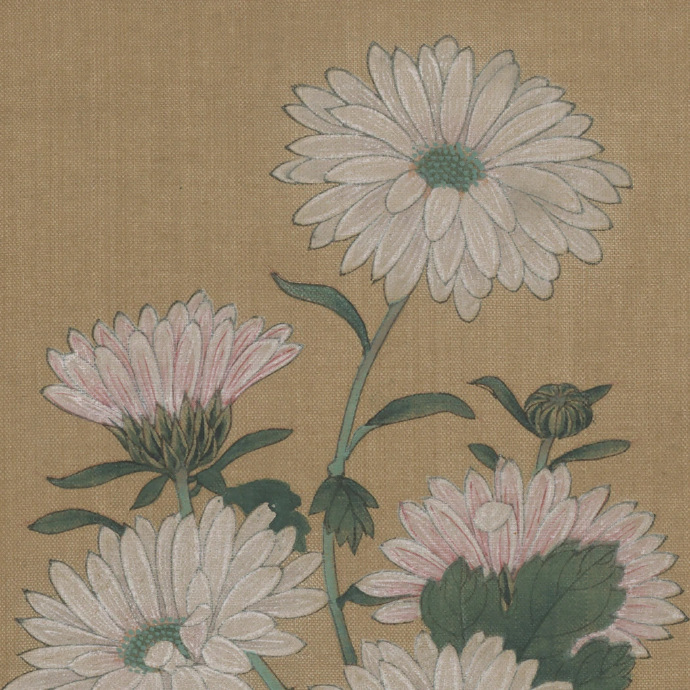 工笔鱼儿说画#南宋 马远 菊花图纵23厘米  横23厘米 绢本设色朵云轩