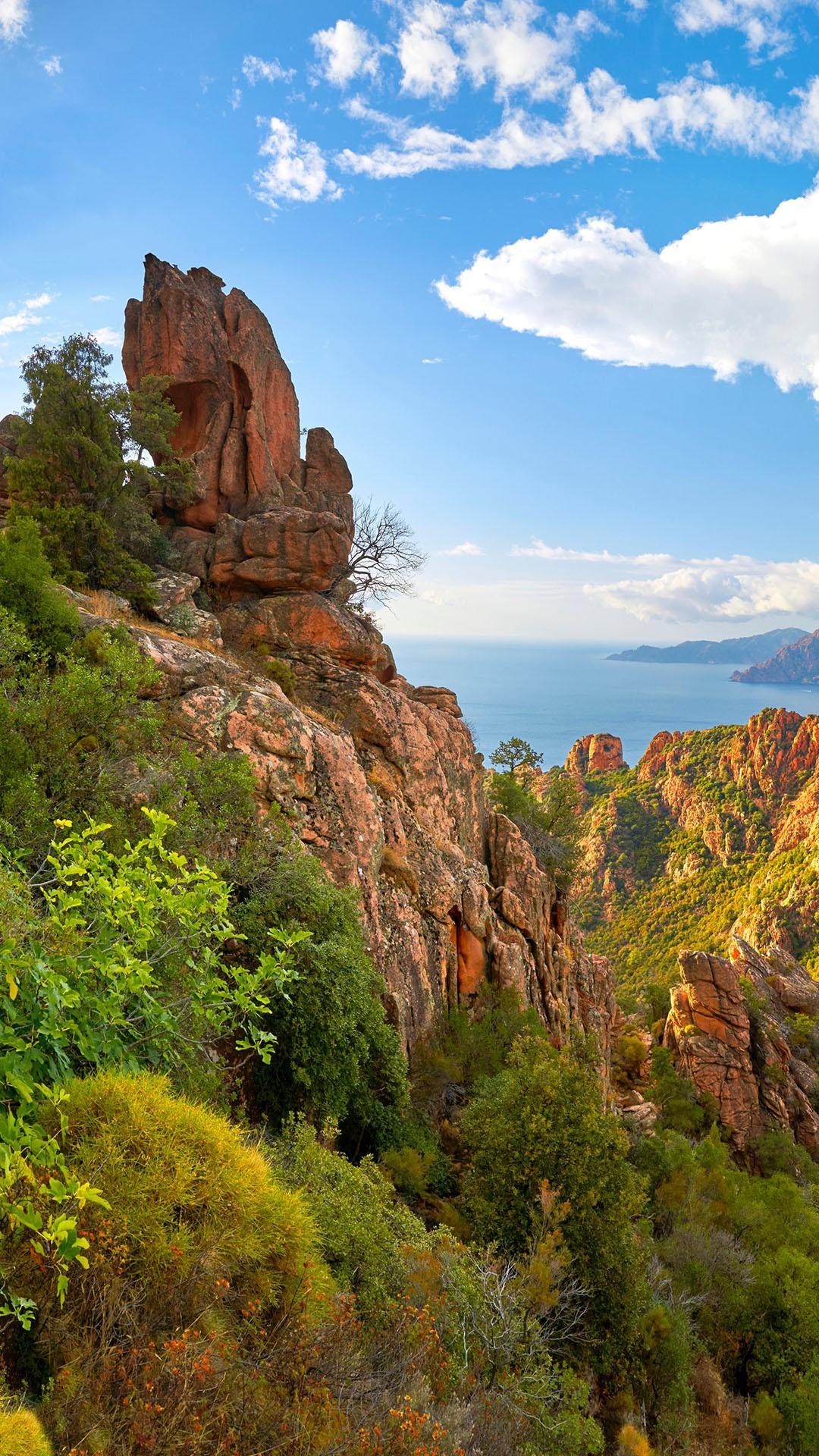 有没有好看的风景手机壁纸最好是比较绿色的谢谢