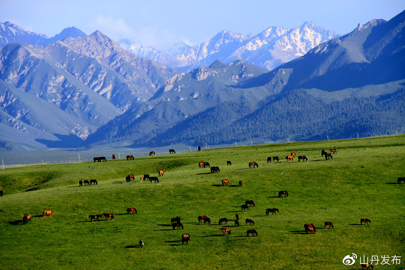 祁连山下山丹马场草原景色怡人