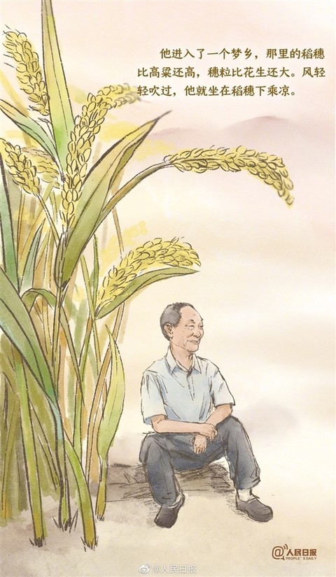 烟花公司设计出稻穗状烟花:袁爷爷专属|袁隆平_新浪财经_新浪网