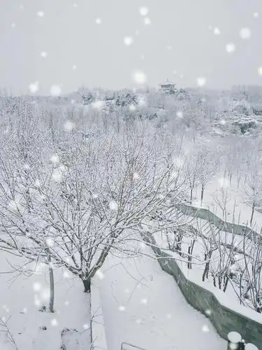 梦幻雪花(我的2020美篇回顾)