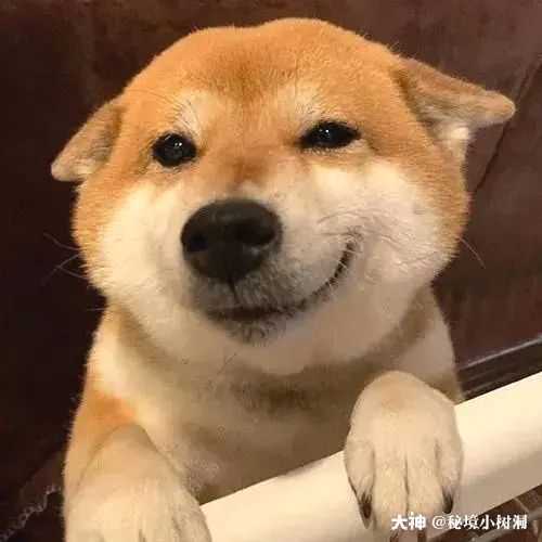 可爱微笑 #禁林秘境##哈利波特魔法觉醒