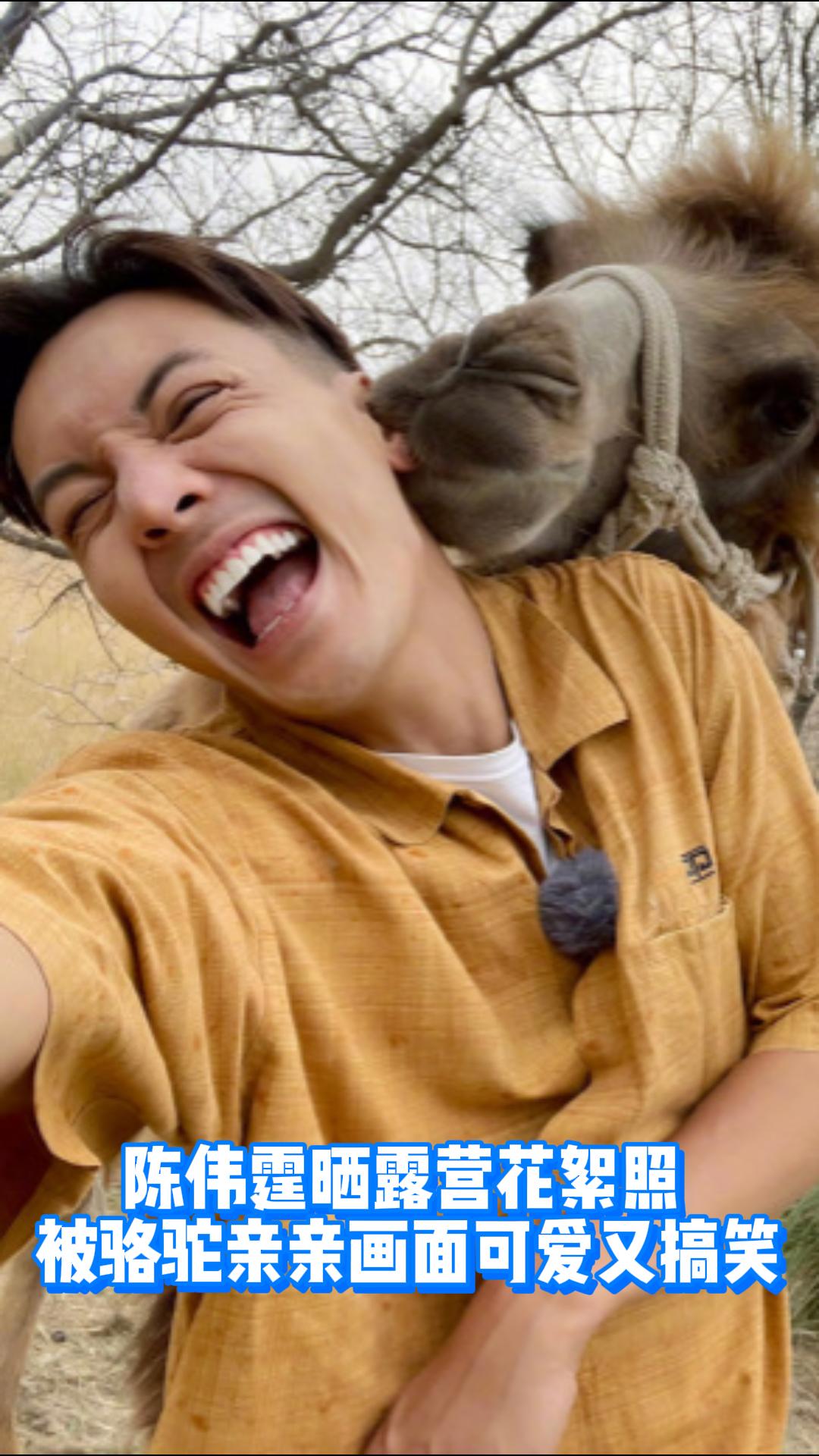 陈伟霆晒露营花絮照 被骆驼亲亲画面可爱又搞笑-娱乐视频-搜狐视频