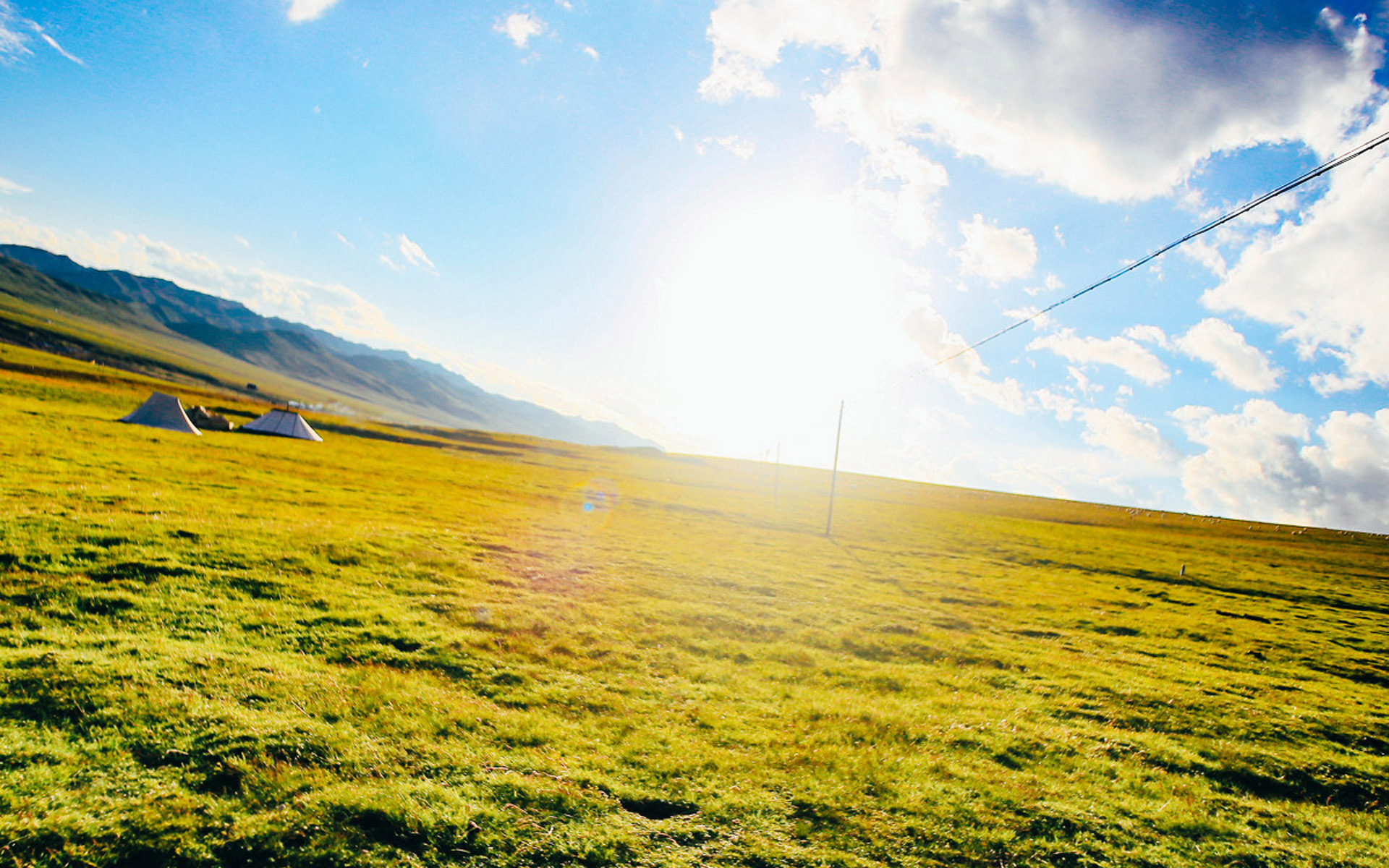 辽阔的绿色大草原美景摄影图片电脑壁纸-风景壁纸-手机壁纸下载-美桌