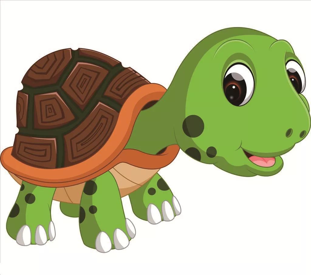 乌龟未来最濒危的脊椎动物