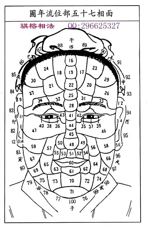 七十五部位流年图及名称