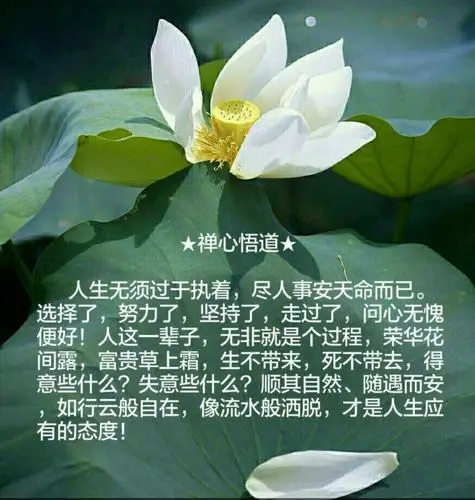 人生高层境界(悟)