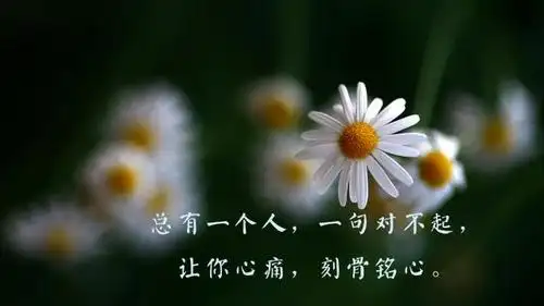 心情不好伤感难过的句子图片