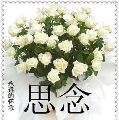 其它 怀念母亲 写美篇         敬爱的老妈,逝去的是您衰竭的身体