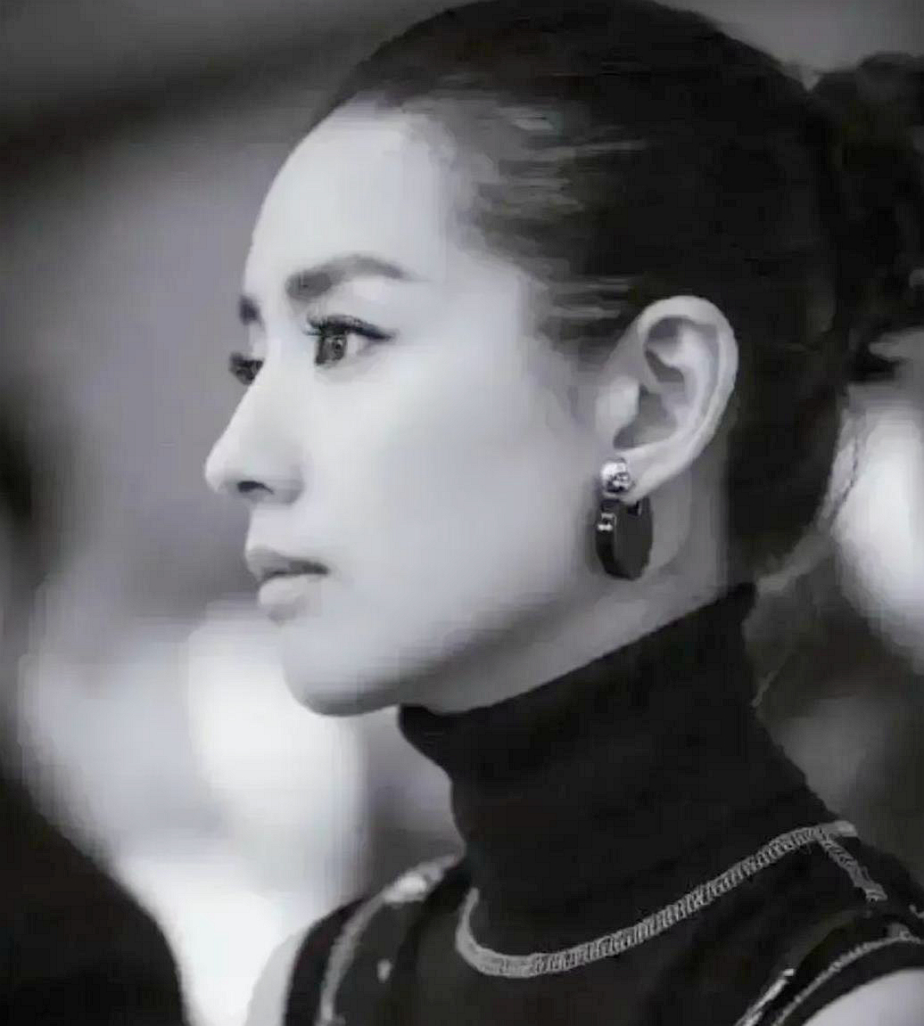 董洁的侧颜真的是无敌完美,也是圈内最美的人之一